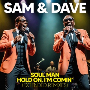 Sam & Dave - SOUL MAN (1 x CD)
