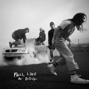 SCRATCH - Pull Like a Dog