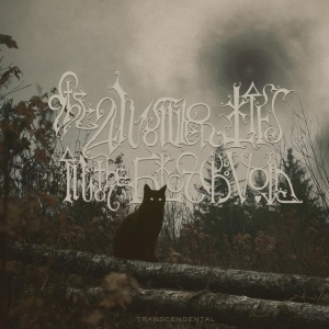The Answer Lies the Black Void - TRANSCENDENTAL (1 x LP)