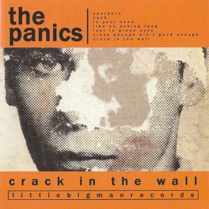 The Panics - CRACK IN THE WALL (1 x LP)