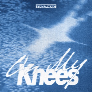 Trendz - ON MY KNEES (1 x CD)