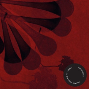 Tyshawn Sorey,Pat Thomas - RED SULPHUR (1 x CD)