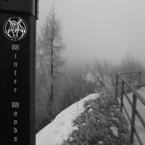 Vardan - WINTER WOODS (1 x CD)