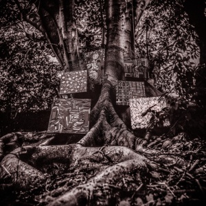 WASHINGTON, KAMASI - HARMONY OF DIFFERENCE