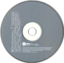 Wonderwall ‎– албум What Does It Mean? (CD) - Img 3