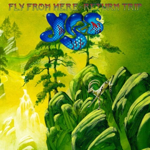 YES - FLY FROM HERE (RETURN TRIP)