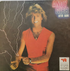 Andy Gibb ‎– албум After Dark