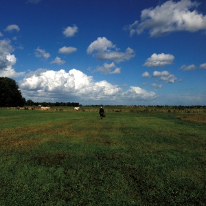 Biosphere - HILVARENBEEK RECORDINGS (1 x LP)