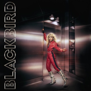 Blackbird - DO YOU READ ME! (1 x LP)
