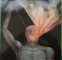 Bruce Cockburn – албум Stealing Fire