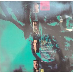 Chinchilla Green – албум A Taste Of Times To Come... - Img 2