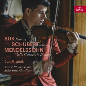 Czech Philharmonic Chamber Orchestra - SUK: FANTASY - SCHUBERT: RONDO - MENDELSSOHN: VIOLIN CONCERTO IN D MINOR (1 x CD)