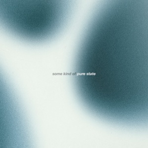 Dharma Chain - SOME KIND OF PURE STATE (1 x CD)