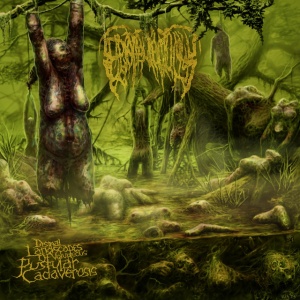 Epicardiectomy - DISMAL LANDSCAPES OF VOLOPTUOUS PUSTULAR CADEVEROSIS (1 x CD)