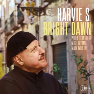 Harvie S - BRIGHT DAWN (1 x CD)