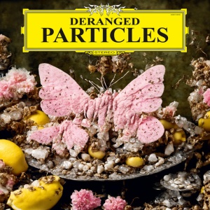 HENKELHAUSEN, FELIX - DERANGED PARTICLES