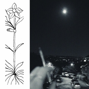 JABU - A SOFT AND GATHERABLE STAR