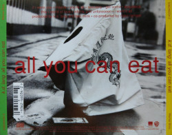 k.d. lang ‎– албум All You Can Eat (CD) - Img 2
