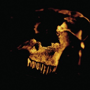 Kardeathian - KARDEATHIAN (1 x LP)