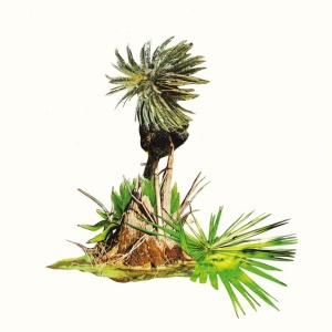 Lagoss - MUSICA PARA PLATANOS (1 x LP)