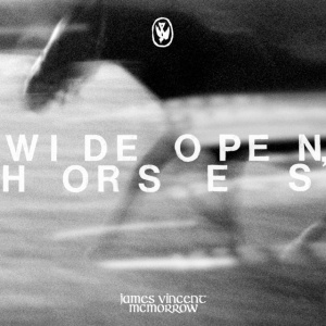 MCMORROW, JAMES VINCENT - WIDE OPEN, HORSES