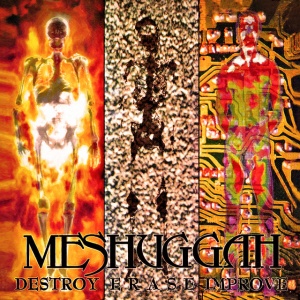 Meshuggah - DESTROY ERASE IMPROVE (2 x LP)