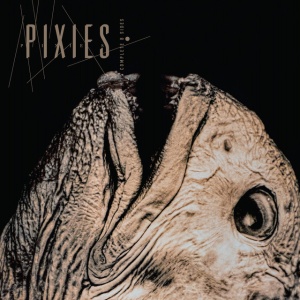 Pixies - COMPLETE B-SIDES: 1988-97 (2 x CD)