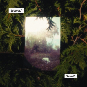 Preloved - WILLOW (1 x LP)