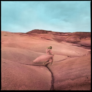 PRICE, MARGO - STRAYS