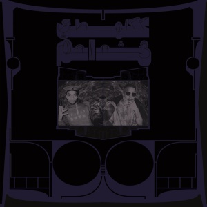 SHABAZZ PALACES - EXOTIC BIRDS OF PREY