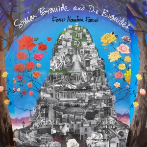 Simon Bromide - FOREST MOUNTAIN FOREST (1 x LP)