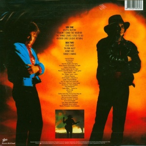STEVIE RAY VAUGHAN & DOUBLE TROUBLE - COULDN'T STAND THE WEATHER (2 x LP) - Img 2