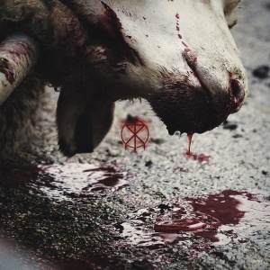 TO THE GRAVE - DIRECTOR'S CUTS