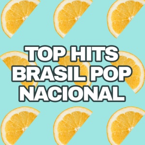 Various Artists - BRASIL POP (2 x CD)
