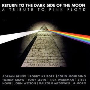 Various Artists - RETURN TO THE DARK SIDE OF THE MOON (1 x LP)