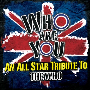 Various Artists - WHO ARE YOU ? (2 x LP)