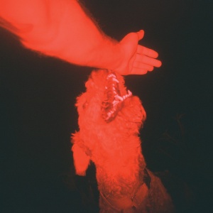WINTER, ELI - A TRICK OF THE LIGHT