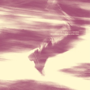 Bees Made Honey In The Vein Tree - IN BETWEEN STRIDES (1 x CD)