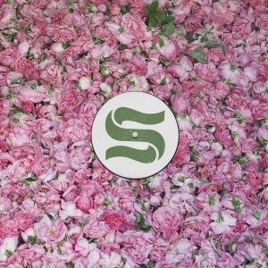 BRAXE + FALCON - STEP BY STEP REMIXES