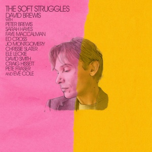 BREWIS, DAVID - SOFT STRUGGLES