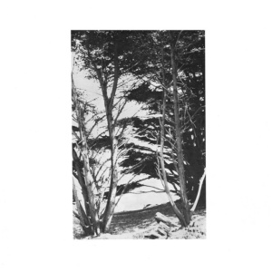 DEITRICK, RICK - GENTLE WILDERNESS