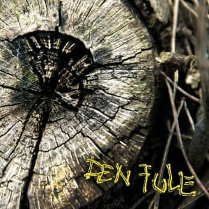 Den Fule - DEN FULE (1 x LP)