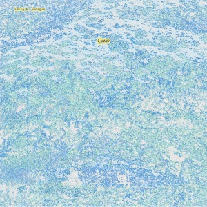 Emily A. Sprague - CYANO (1 x LP)