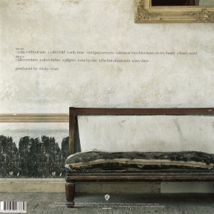 ENYA - A DAY WITHOUT RAIN (1xLP) - Img 2