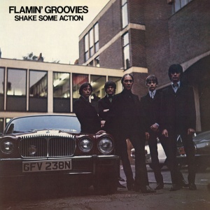 Flamin' Groovies - SHAKE SOME ACTION (2 x CD)