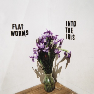 FLAT WORMS - INTO THE IRIS