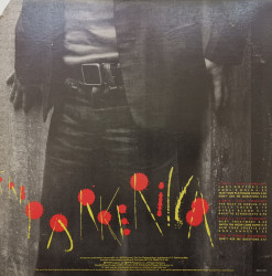 Graham Parker And The Rumour – албум The Parkerilla - Img 2