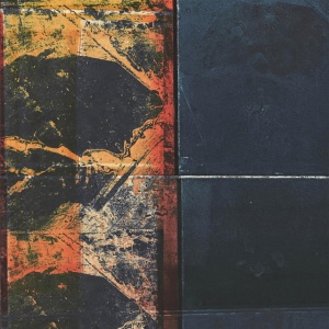 Ivo Perelman,Nate Wooley - POLARITY 2 (1 x CD)