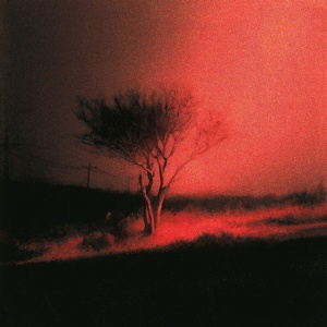 Joji - PISS IN THE WIND - INDIE EXCLUSIVE 2 (1 x LP)