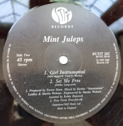 Mint Juleps ‎– сингъл Girl To The Power Of 6 - Img 3